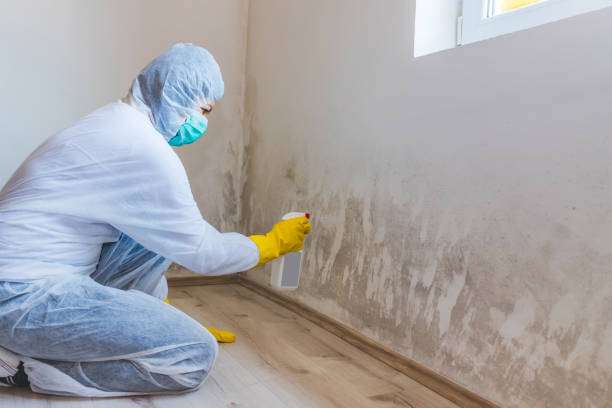 Bathroom Mold Removal assessment in Holliston bathroom